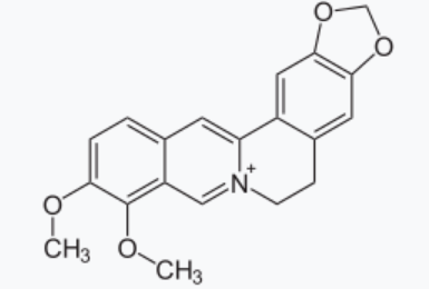 베르베린 화학식 구조