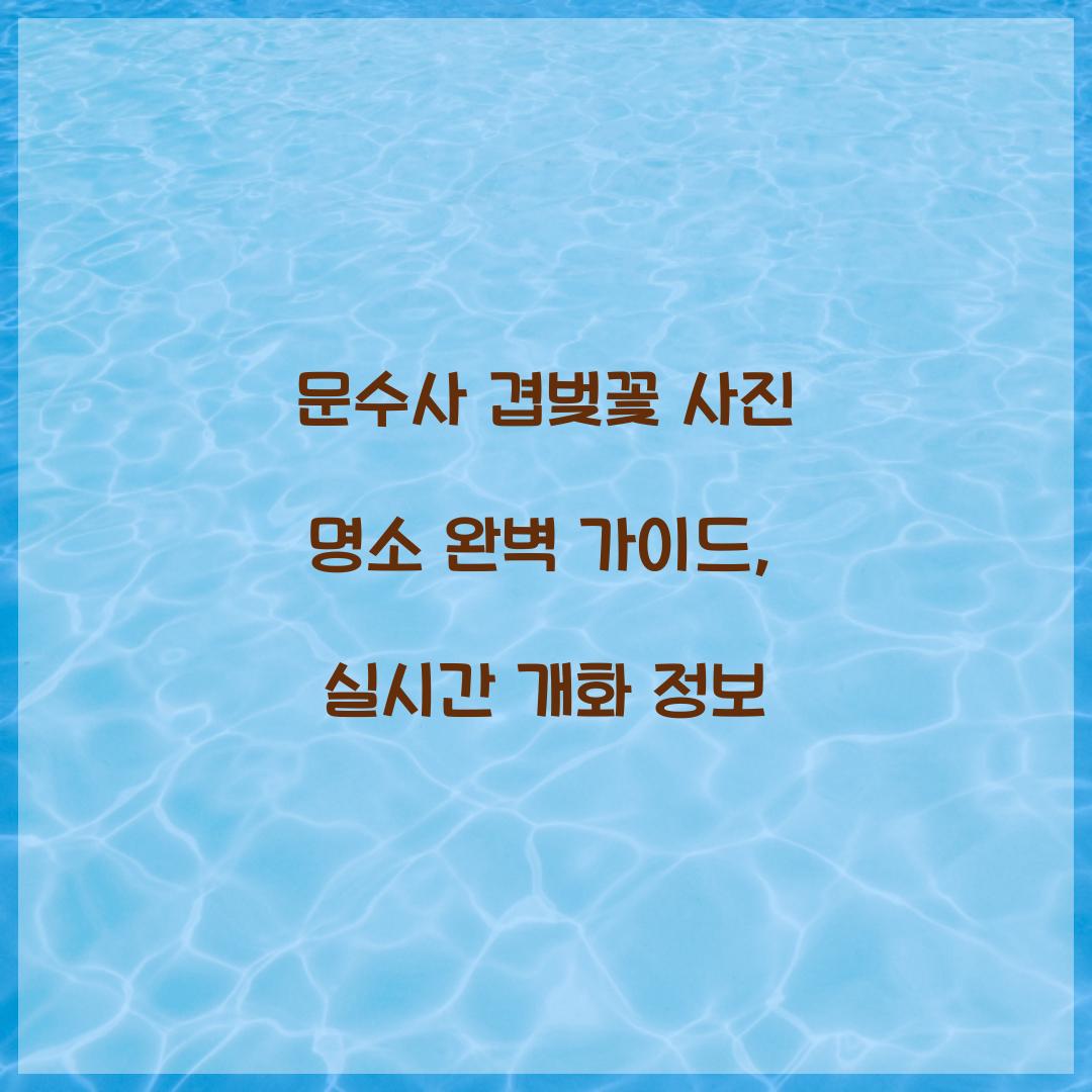 문수사 겹벚꽃 사진 명소