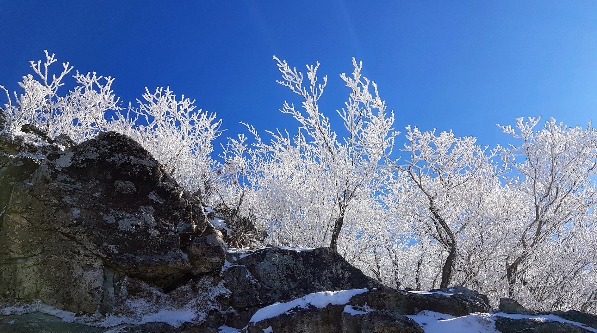 울산 가지산16 설경과 상고대