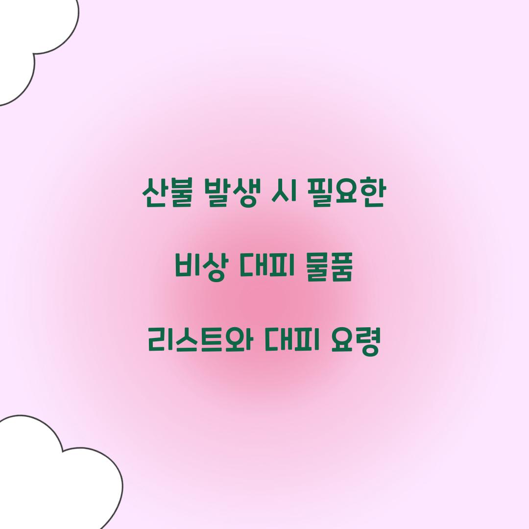 산불 발생 시 필요한 비상 대피 물품