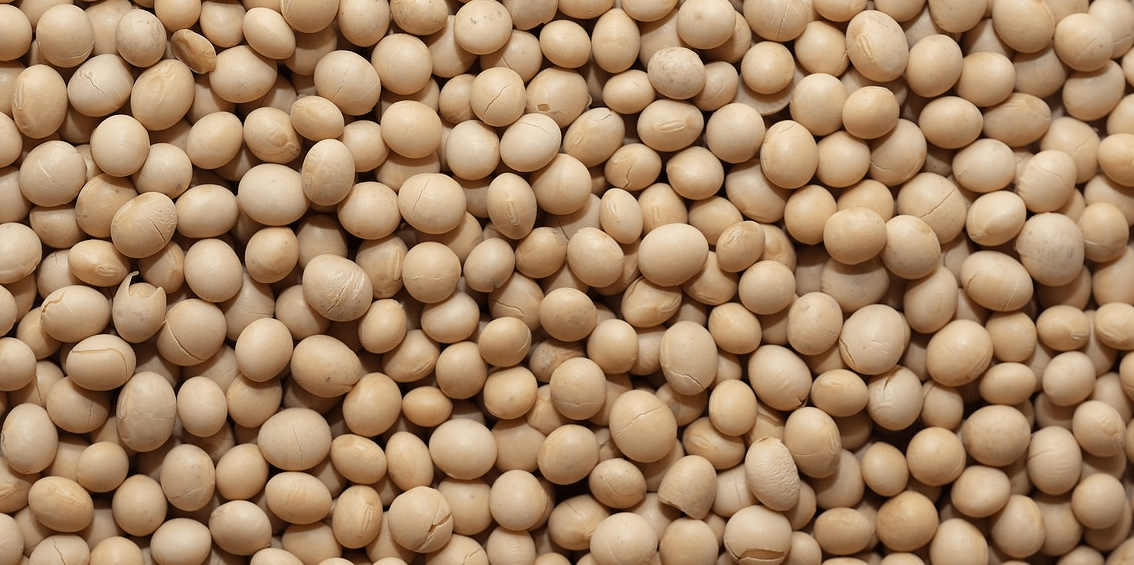 칼륨이 많은 음식 사진 - 11