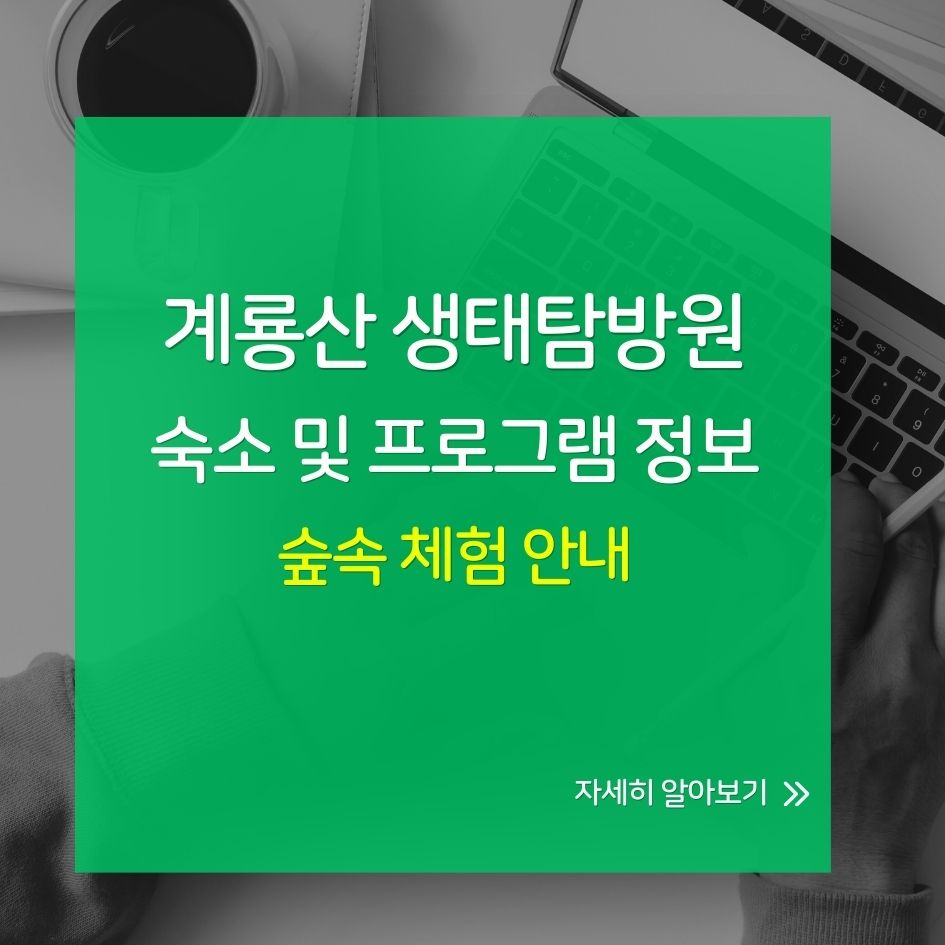 계룡산 생태탐방원 숙소 및 프로그램 정보