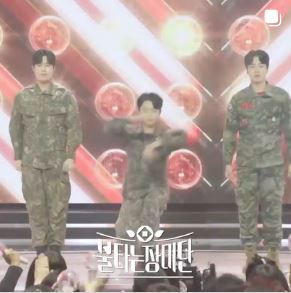 불타는 장미단