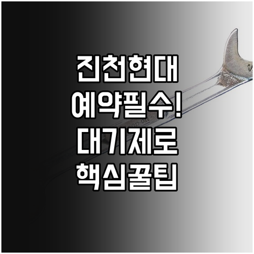 진천 현대자동차 블루핸즈 예약 방법 ..