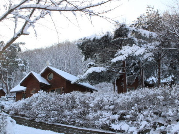 용현자연휴양림