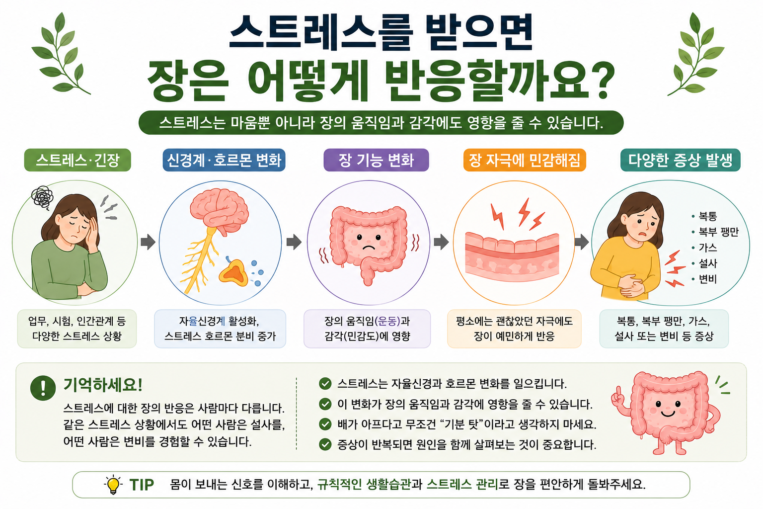 스트레스 신경 호르몬 변화와 장 운동 감각 및 복통 배변 변화의 개념도