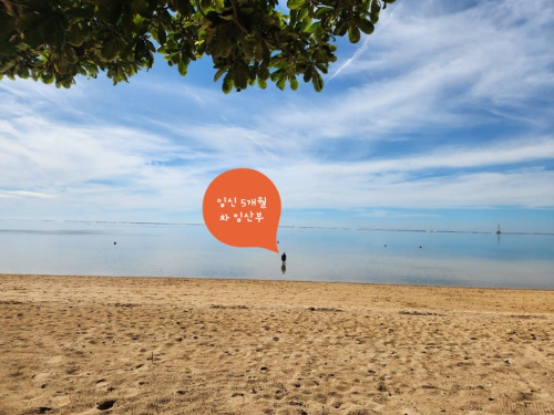 임신5개월차 임산부 사누르비치