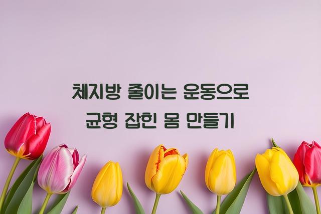 체지방 줄이는 운동