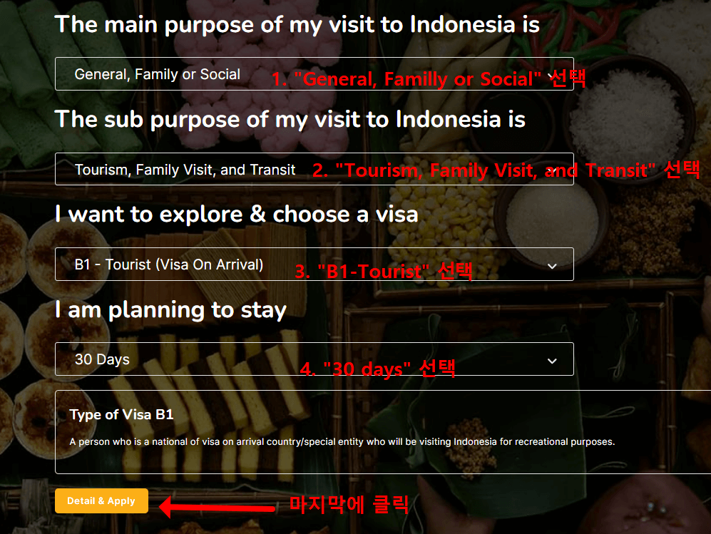 발리 여행 전자비자 발급절차3