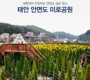 태안 추천 관광지 베스트10 관련 사진