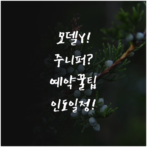 모델Y 주니퍼 예약 조건과 인도 시기..