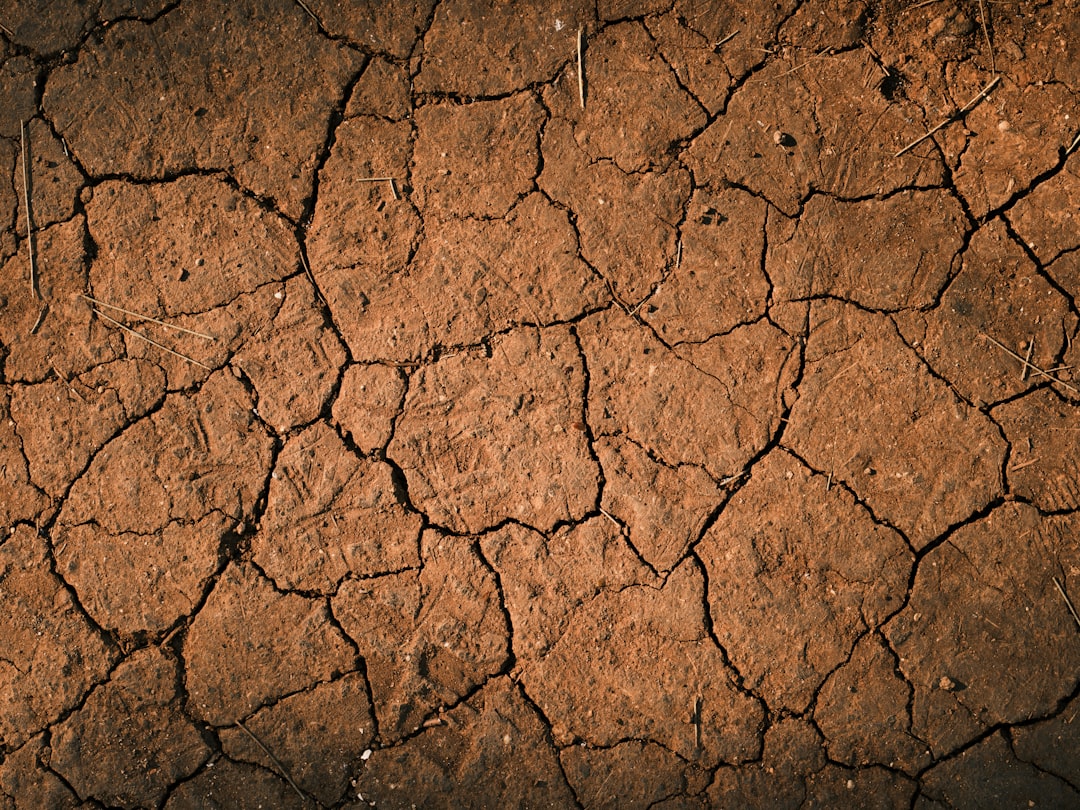 Dryness.
