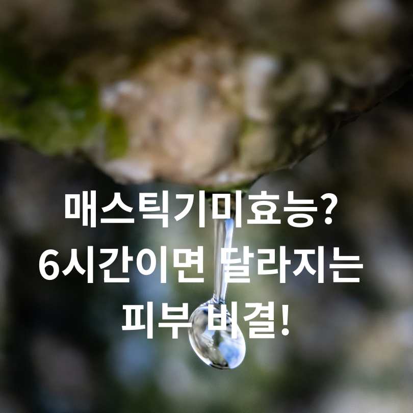 매스틱기미효능
