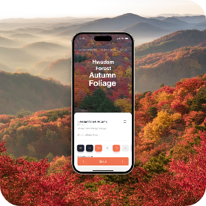 화담숲 예약하기 가상 이미지