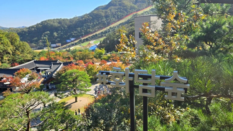 화담숲 단풍시기 예약 단풍명소