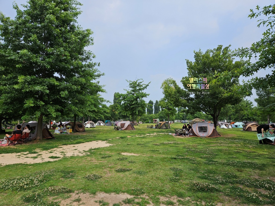 여의도 한강공원 피크닉 텐트 데이트 대여 후기 가격