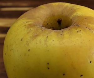 비타민 C가 작어도 항산화 성분으로 피부 노화 방지에 좋은 사과 