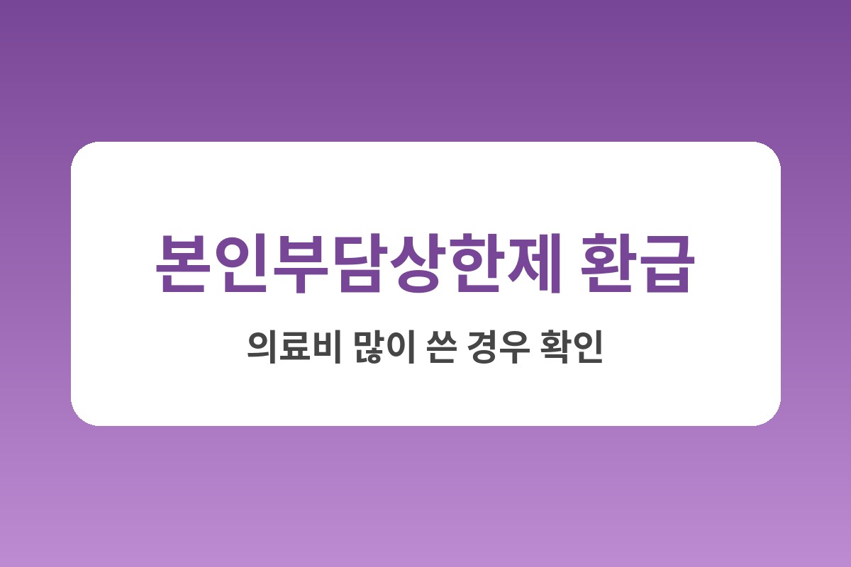 건강보험료 환급금 조회 본인부담상한제