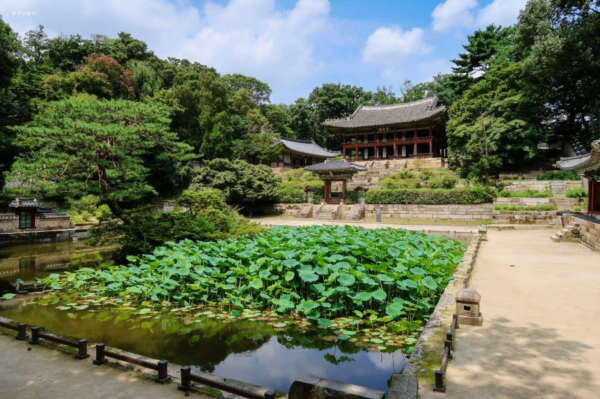 후원 부용지