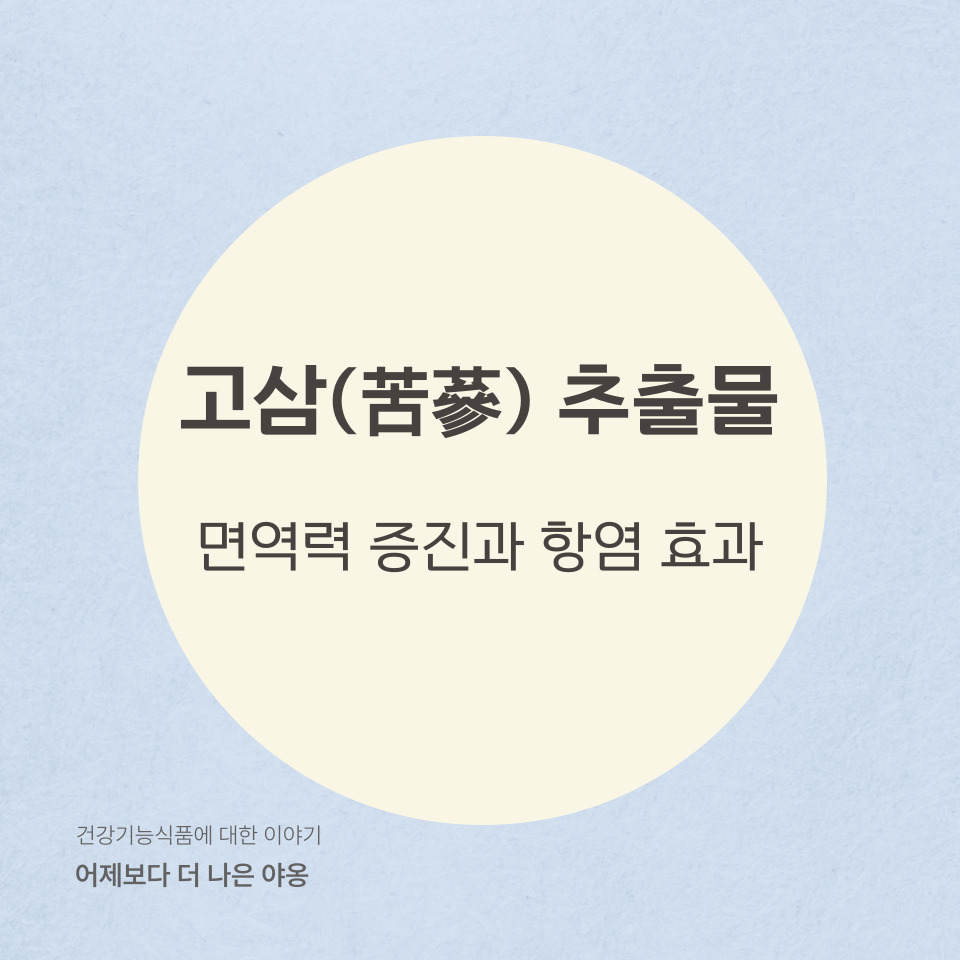 고삼(苦蔘) 추출물: 면역력 증진과 항염 효과