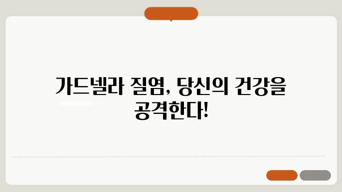 가드넬라 질염의 주요 원인과 관련된 이미지