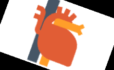 아보카도 보관법