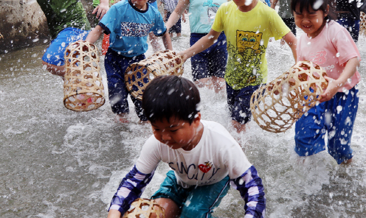 담양대나무 축제