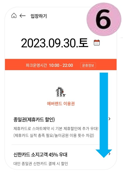 에버랜드 오후권 구매