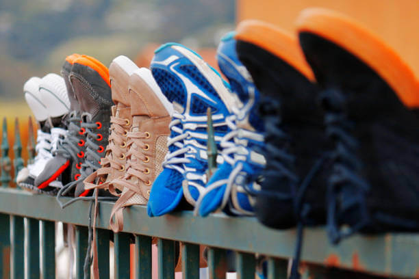 신발관리기추천