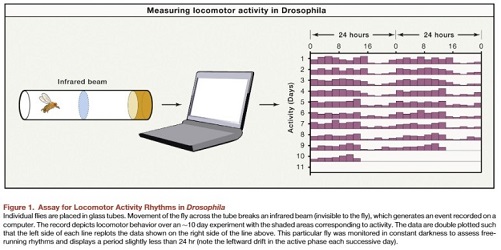 그 좋다는 '소식(小食)'하면 내 몸 어떻게 달라질까 ㅣ 아무때나 소식해도 안돼
