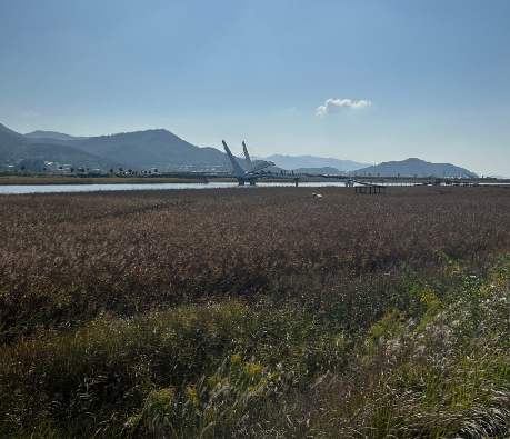 강진만생태공원