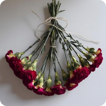 말린 카네이션 리스 만드는 법