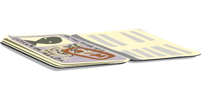 전자 신분증 발급