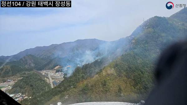 태백 장성동 산불 실시간 현황: 고압 송전선로 위기 및 헬기 5대 진화 완료 (2026. 4. 23)