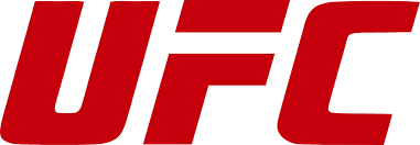 UFC 완벽가이드 경기일정 주요인물 인기이유