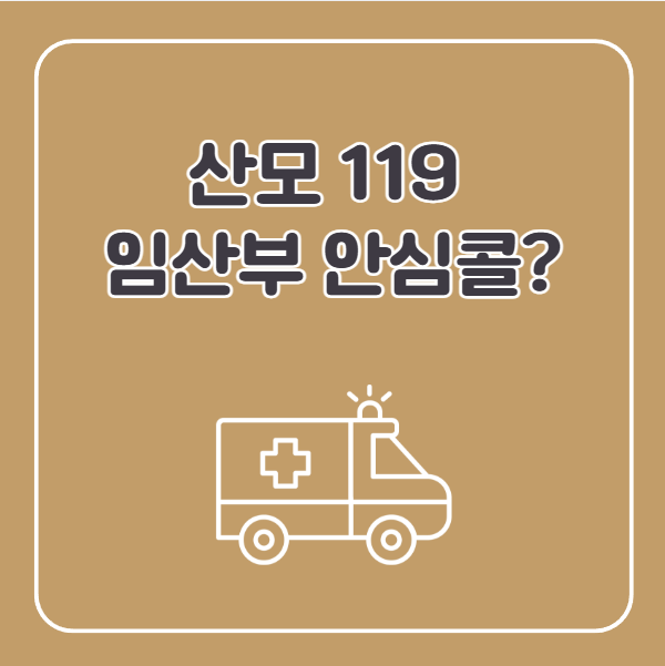 산모 119 안심콜 서비스란?