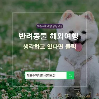 반려동물과 해외여행 기내 직항 펫 전용 준비와 절차_18