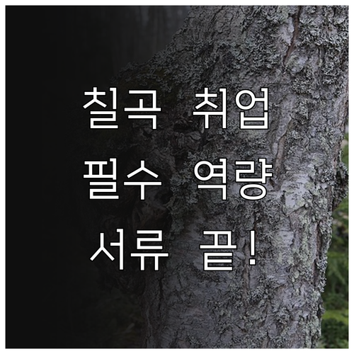 칠곡군 시니어클럽 사회복지사 필수 역..