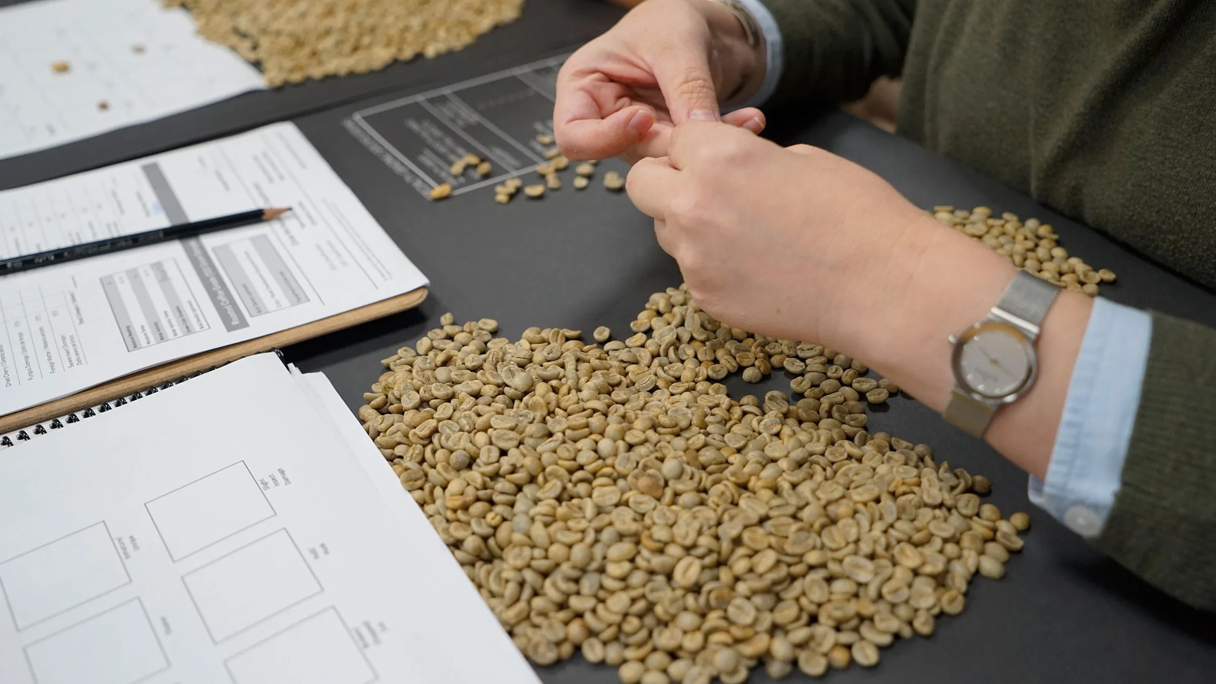 수확 후 처리 세척 건조 예냉 저장 온도 습도 관리_2