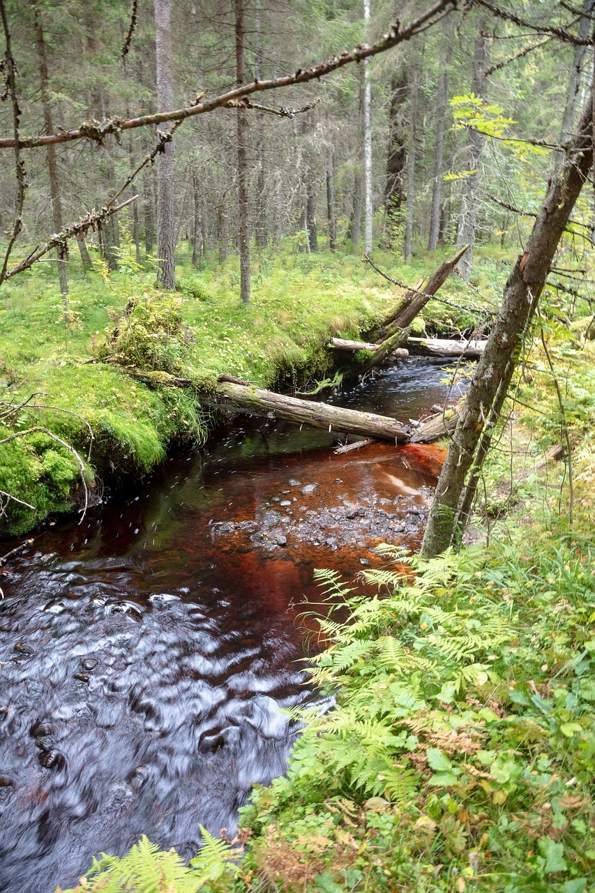 포천 비둘기낭 폭포