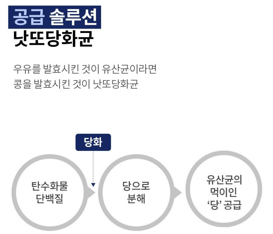 최근 인기 유산균 제품 탑3! TOP 3 + 추천 탑2 TOP2 =TOP5!