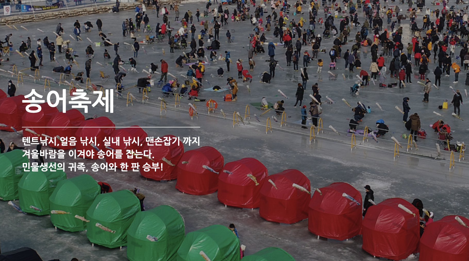 평창송어축제