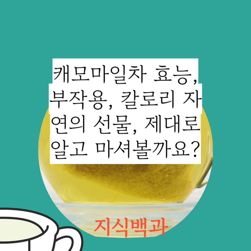 캐모마일차 효능, 부작용, 칼로리 자연의 선물, 제대로 알고 마셔볼까요?