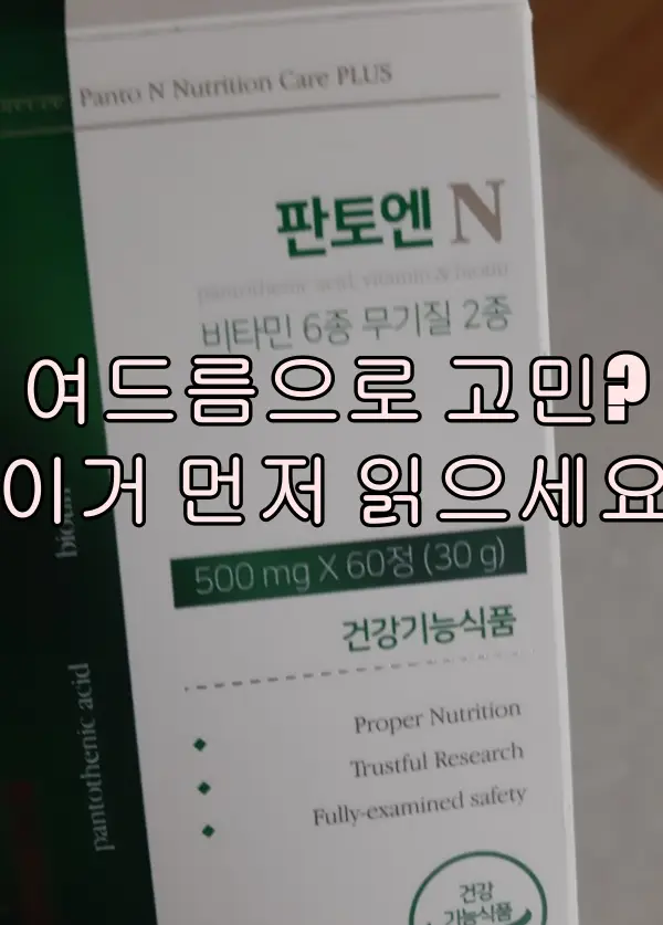 판테온 내돈내산 후기