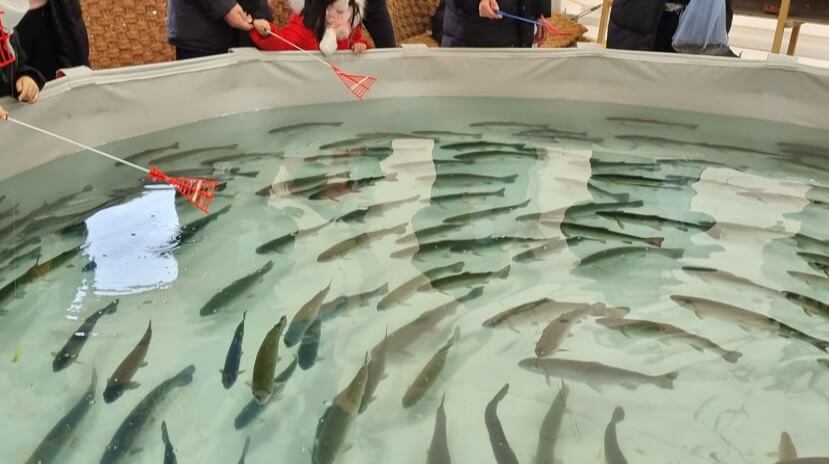 동장군축제 송어 얼음 낚시 및 눈썰매 정보&amp;#44; 축제가 포천 백운계곡쪽에서 진행하고 있습니다. 