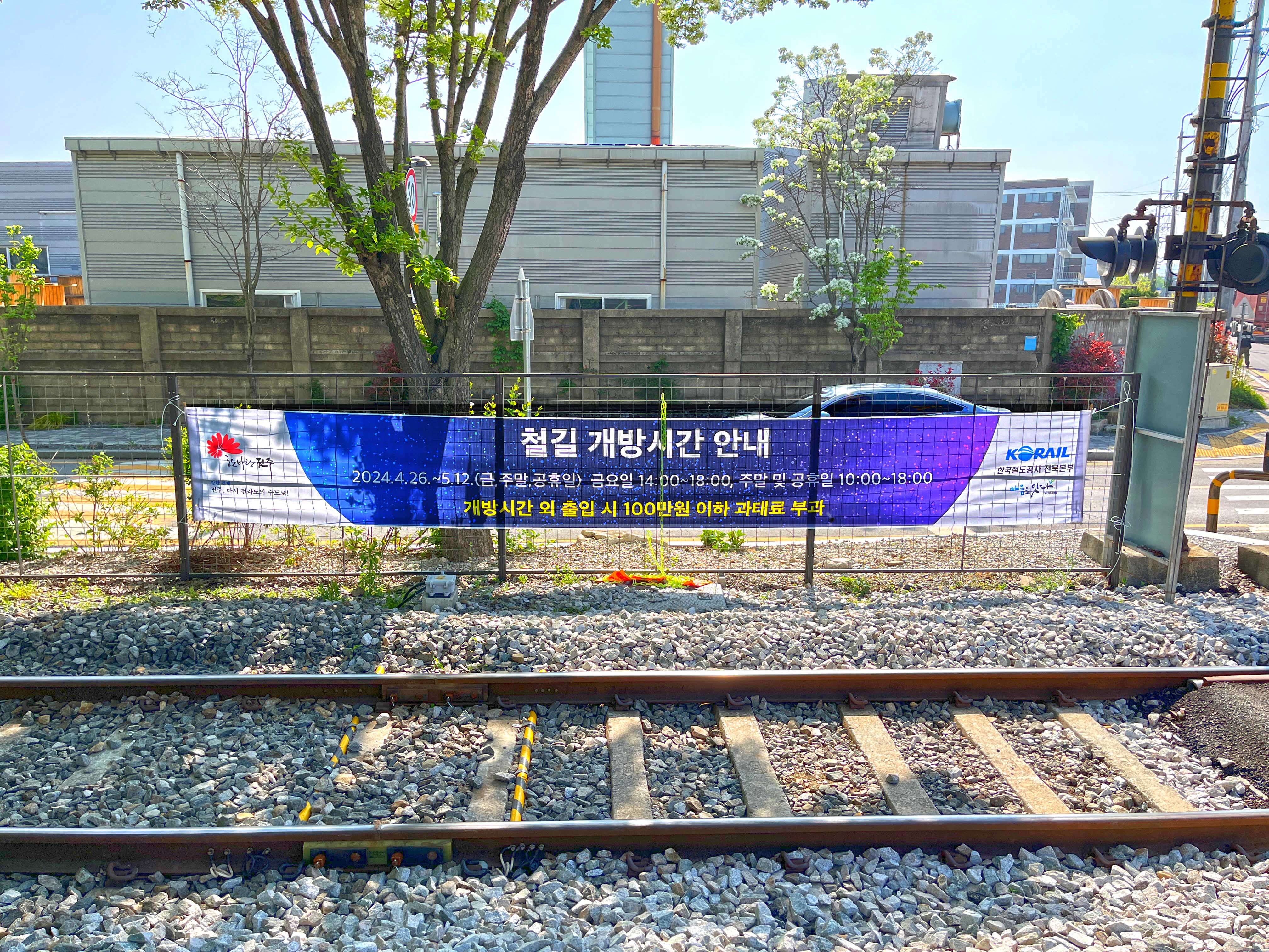 팔복동 철길 이팝나무
