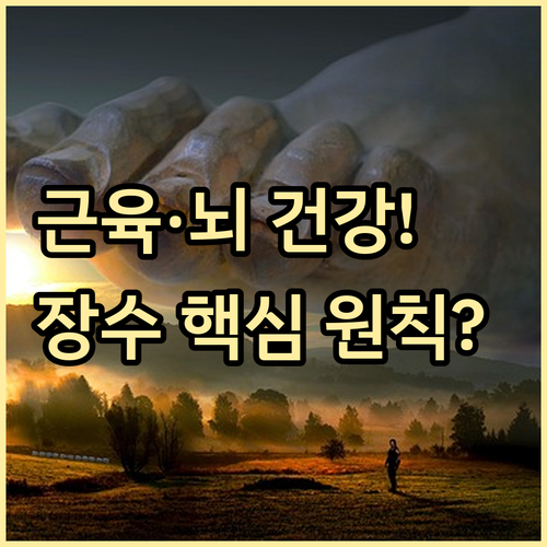 근감소증 예방과 인지 기능 유지: 장..
