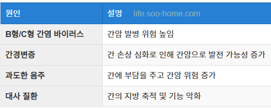 간암의 주요 원인과 발생 위험 요인