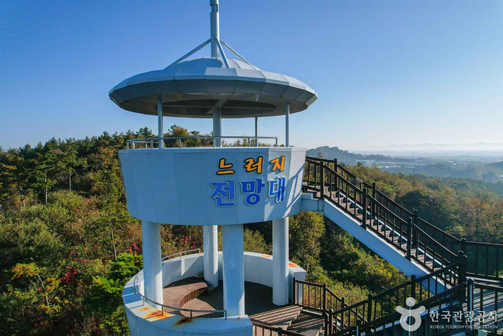 나주 느러지전망대 수국길