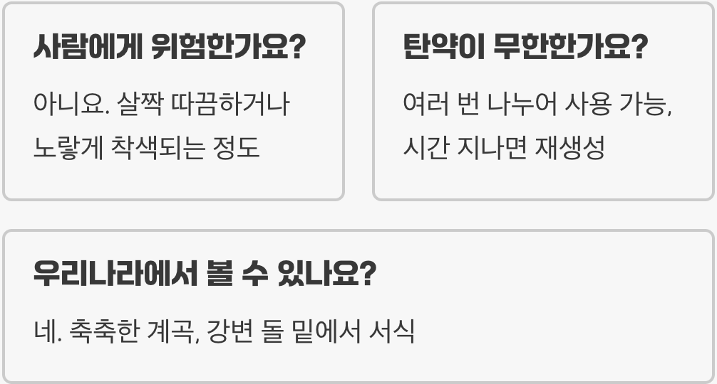 폭탄먼지벌레가 방어할 때 나오는 화학 물질의 정체와 생존 전략 분석